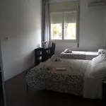 Fasthotel Cervia